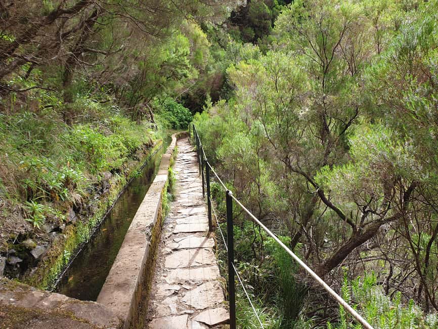 Madeira: 25 Fountains Rabaçal Forest Walk - Key things that make this hike worth your time