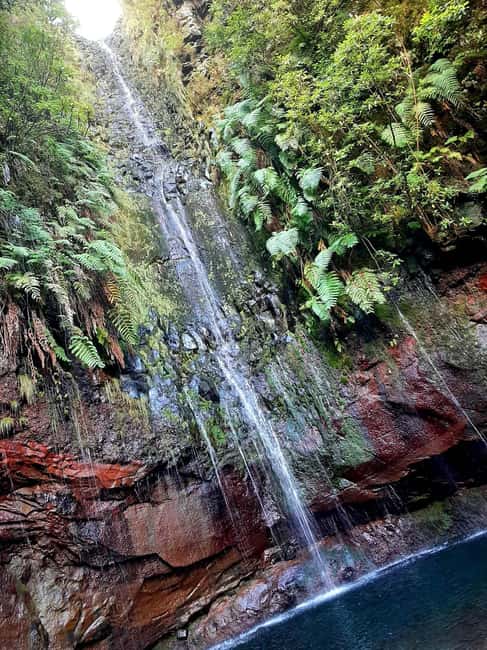 Madeira: 25 Fountains Rabaçal Forest Walk - The view you get from the van, then the forest takes over
