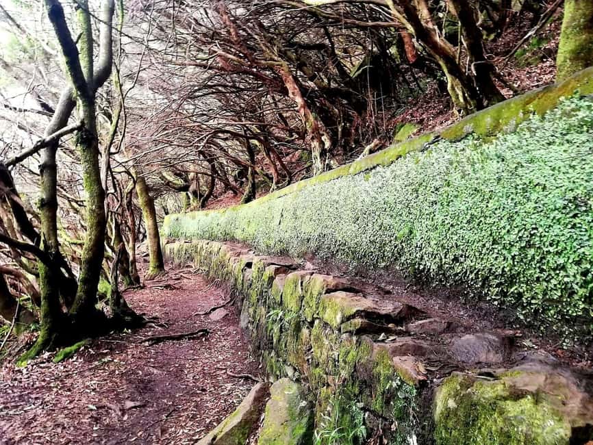Madeira: 25 Fountains Rabaçal Forest Walk - The 10-kilometer rhythm, why 4.5 hours can feel like less