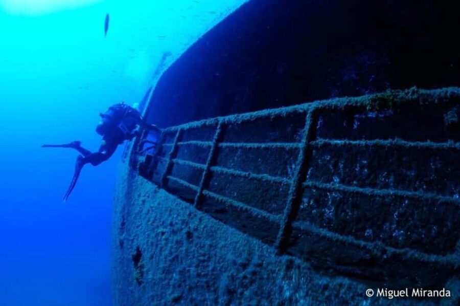 Madeira: 4-hour Scuba Dive from Porto Santo Island - Practical Tips for a Smooth Porto Santo Day