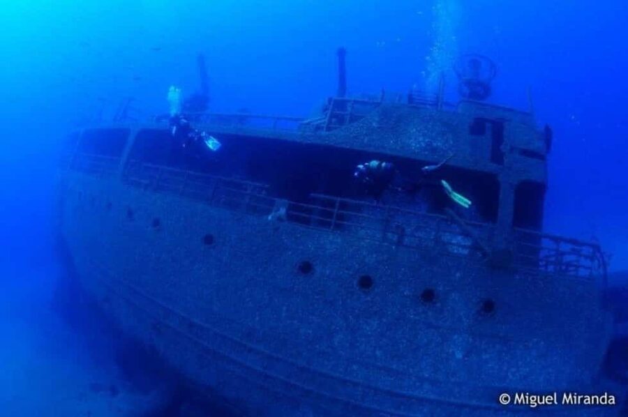 Madeira: 4-hour Scuba Dive from Porto Santo Island - What You See Underwater: Rock Shelters, Sandy Bottoms, and Real Marine Behavior