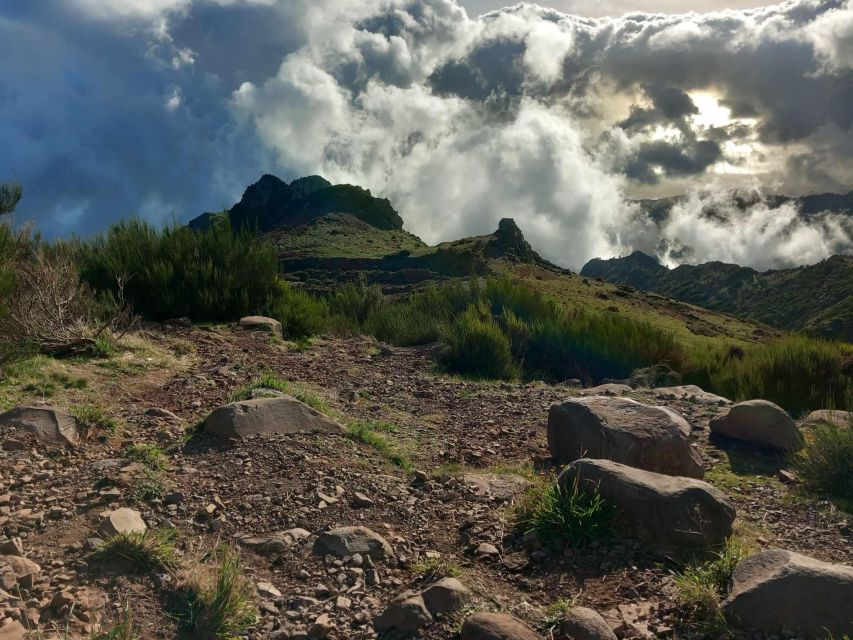 Madeira 4x4 Jeep Safari: Porto Moniz, Lava Pools & Fanal - Price and what you actually get for $55