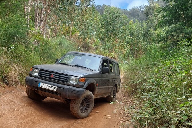 Madeira 4x4 Jeep Safari : Porto Moniz, Lava Pools & Fanal Forest - Câmara de Lobos, Pico da Torre, and Cabo Girão skywalk: the view-heavy opener