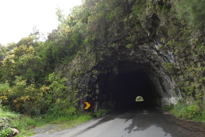 Madeira 4x4 Jeep Safari : Porto Moniz, Lava Pools & Fanal Forest - Ribeira da Janela: short walk, cave path, big Atlantic view