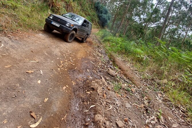 Madeira 4x4 Jeep Safari : Porto Moniz, Lava Pools & Fanal Forest - Porto Moniz for lunch and the lava pools area