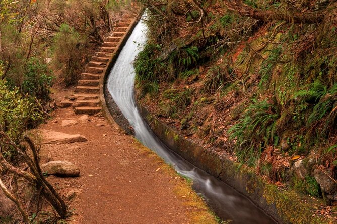 Madeira 4x4 Jeep Safari : Porto Moniz, Lava Pools & Fanal Forest - Ribeira Brava and Ponta do Sol: the stops that add texture
