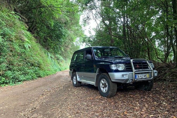 Madeira 4x4 Jeep Tour : Pico Arieiro & Santana Traditional Houses - Stop 1: Pico do Arieiro, 1,818 m Views Without the Guesswork