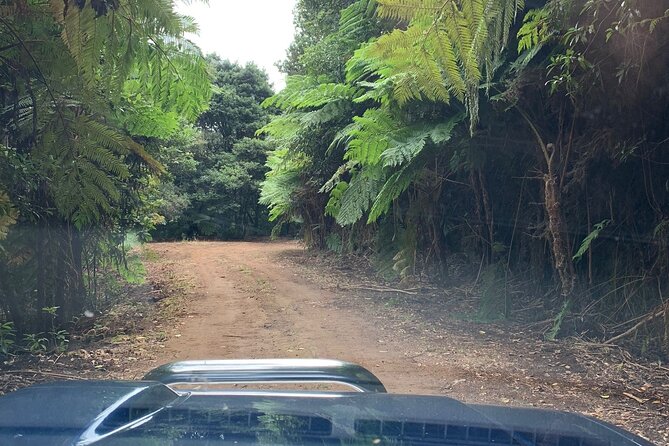 Madeira 4x4 Jeep Tour : Pico Arieiro & Santana Traditional Houses - Stop 2: Balcoes de Ribeiro Frio and the Vereda dos Balcões Nature Walk
