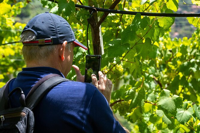 Madeira 4x4 Tour and Wine Tasting Experience - Comfort, safety, and what to pack for a real 4x4 ride