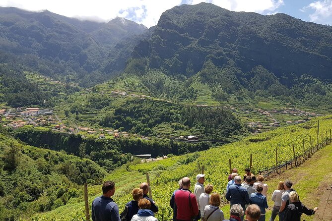 Madeira 4x4 Tour and Wine Tasting Experience - Group size and guide-driven pacing: why it feels doable