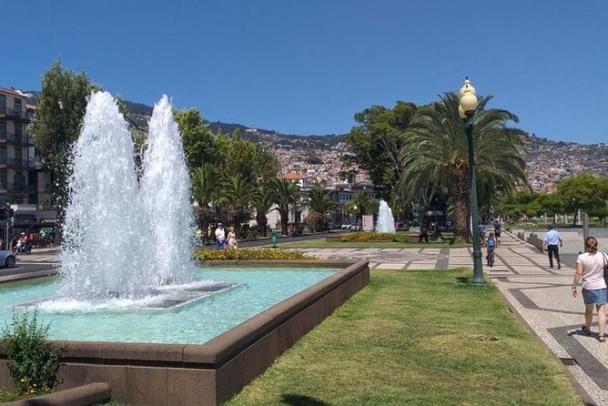 Madeira Airport Round Trip Private Transfers Services - Price and Value: Why $61.79 Per Person Can Make Sense