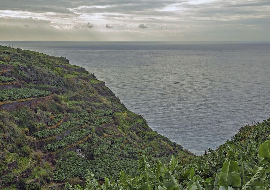 Madeira: Amazing West - Porto Moniz - Paul da Serra plateau: where the off-road adventure actually happens