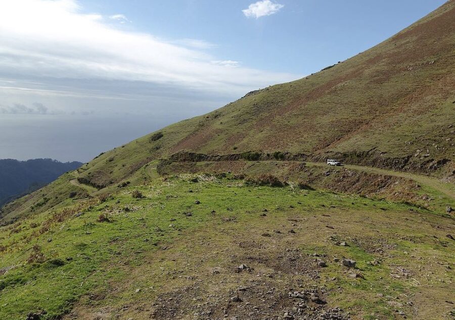 Madeira: Amazing West - Porto Moniz - The Laurisilva experience at Fanal Forest, plus a short walk