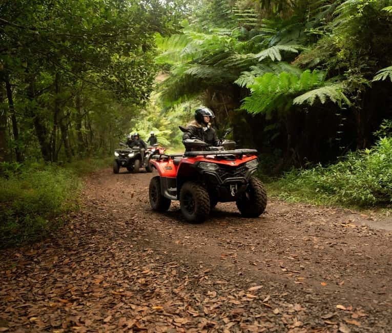 Madeira: Aventura Off-Road de ATV ou Quad - Adrenalina - Why the Guides Matter More Than the Bike