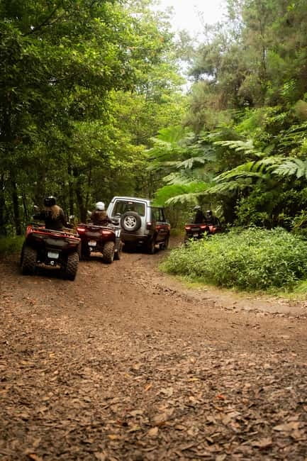 Madeira: Aventura Off-Road de ATV ou Quad - Adrenalina - Nature-Park Trails and Ecological Respect (What It Means for You)
