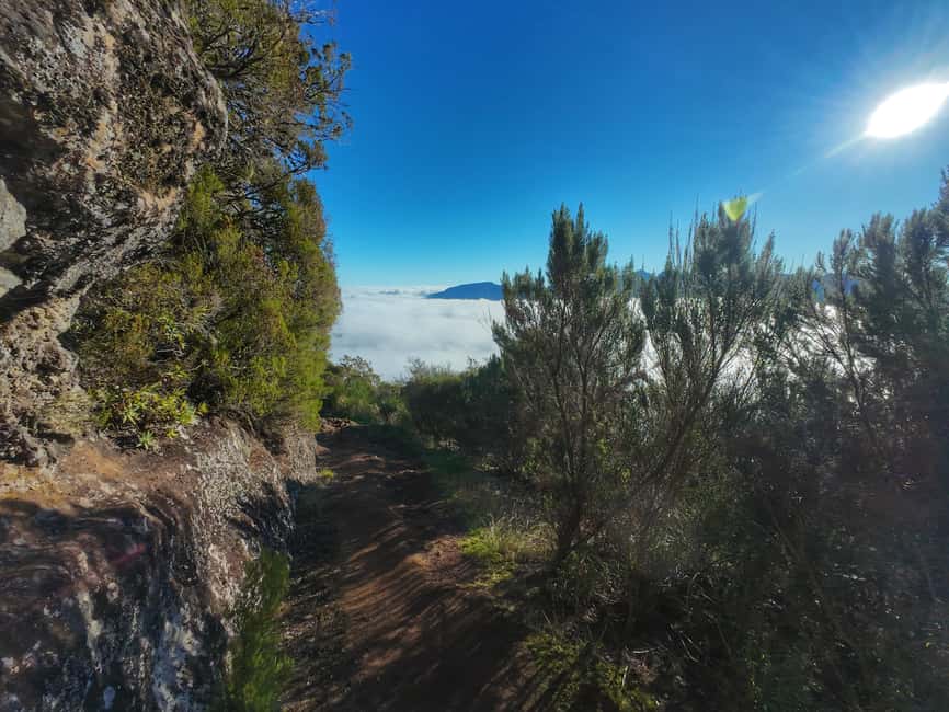 Madeira: Bica da Cana to Encumeada Guided Hike with Pickup - Key highlights worth the hike