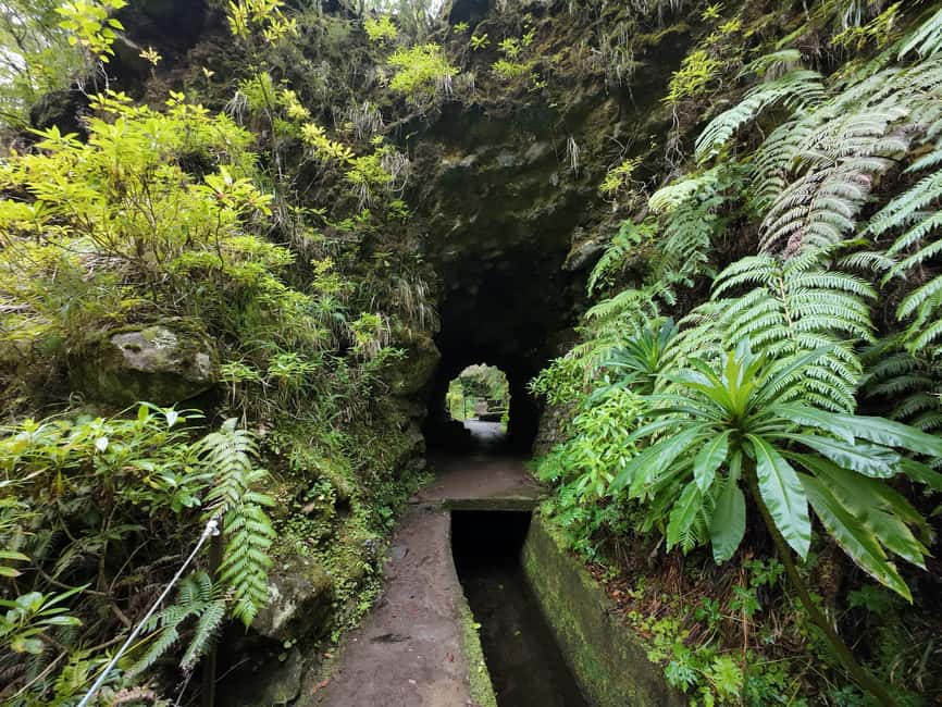 Madeira: Bica da Cana to Encumeada Guided Hike with Pickup - Levada do Norte: the flat section where waterfalls steal the show