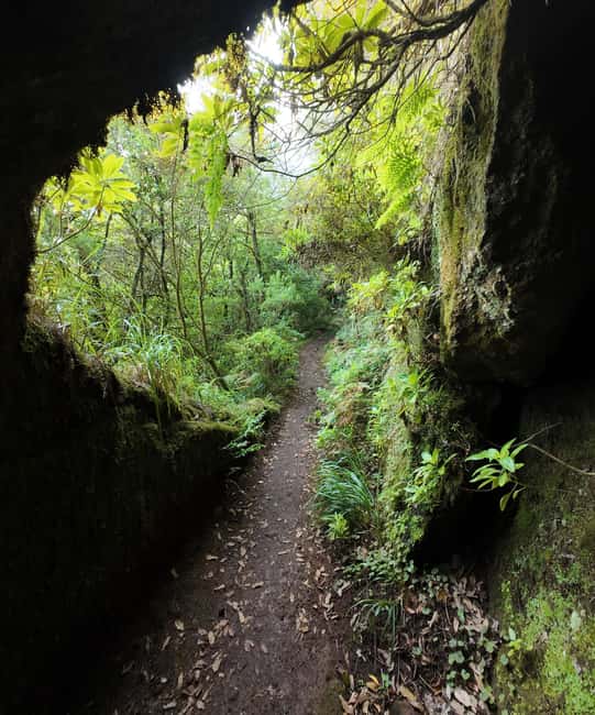 Madeira: Bica da Cana to Encumeada Guided Hike with Pickup - How tough is it, and what you should bring