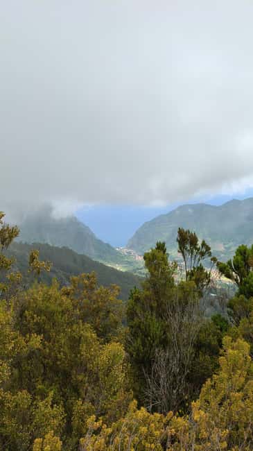 Madeira: Bica da Cana to Encumeada Guided Hike with Pickup - Laurisilva walking: why this forest section feels different