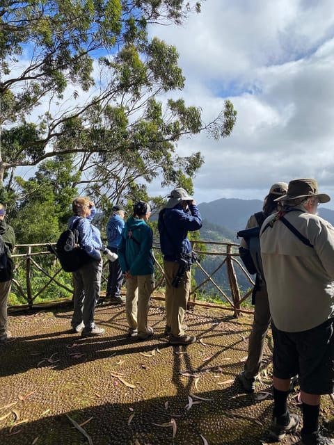 Madeira: Birdwatching - The Endemics - Pickup in Funchal and Caniço, and How the Half-Day Flows