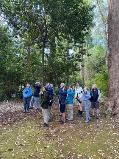 Birdwatching – The Endemics