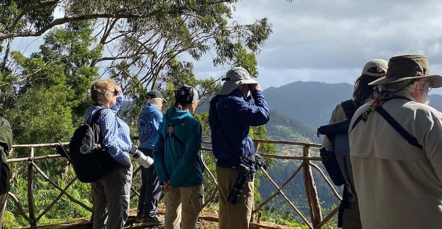 Madeira: Birdwatching - The Endemics - Observation Material Included, and How to Use It Smart