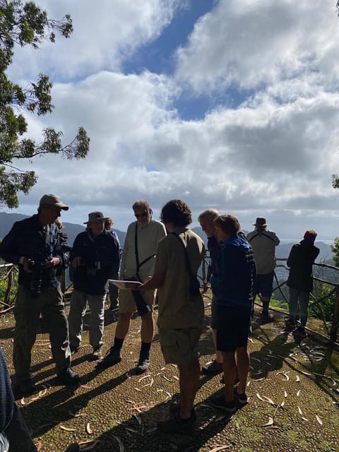 Madeira: Birdwatching - The Endemics - Weather, Patience, and Why Waiting Can Be the Best Part