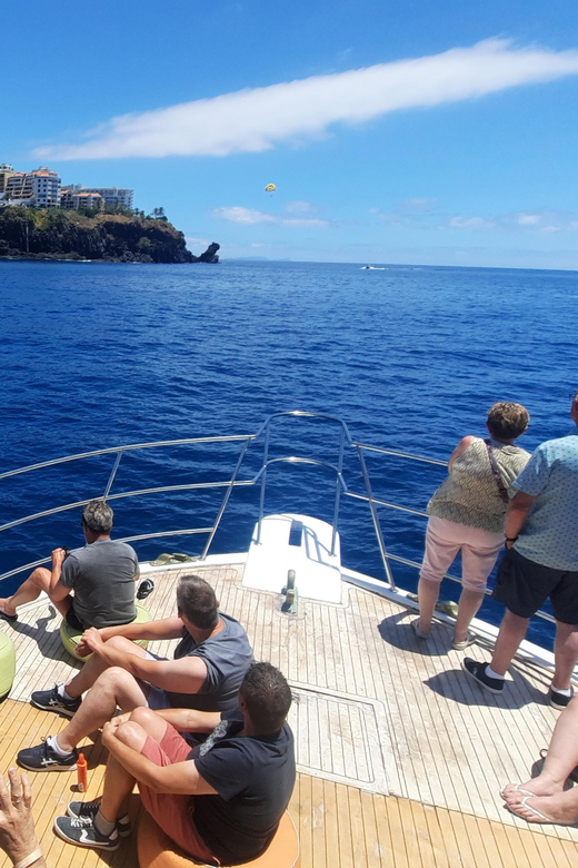 Madeira: Boat Trip with Lunch, Drinks, and Hotel Transfer - Hotel Pickup and Drop-Off in Funchal: The Real Convenience Win