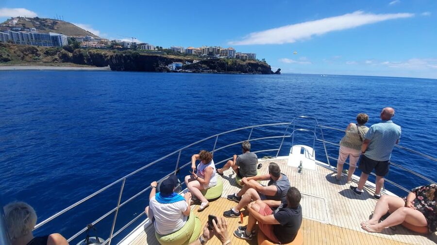 Madeira: Boat Trip with Lunch, Drinks, and Hotel Transfer - Dolphin Watching, and the Surprise of Whale Sightings