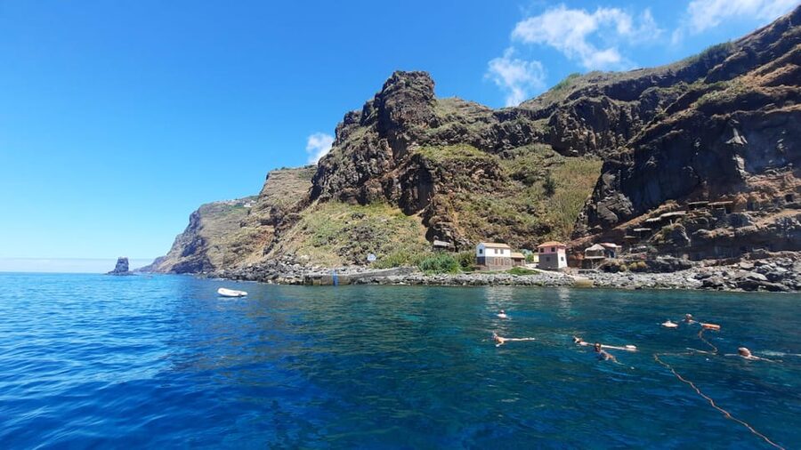 Madeira: Boat Trip with Lunch, Drinks, and Hotel Transfer - Buffet Lunch at Sea: Local Flavors, Not Just Boat-Trip Food