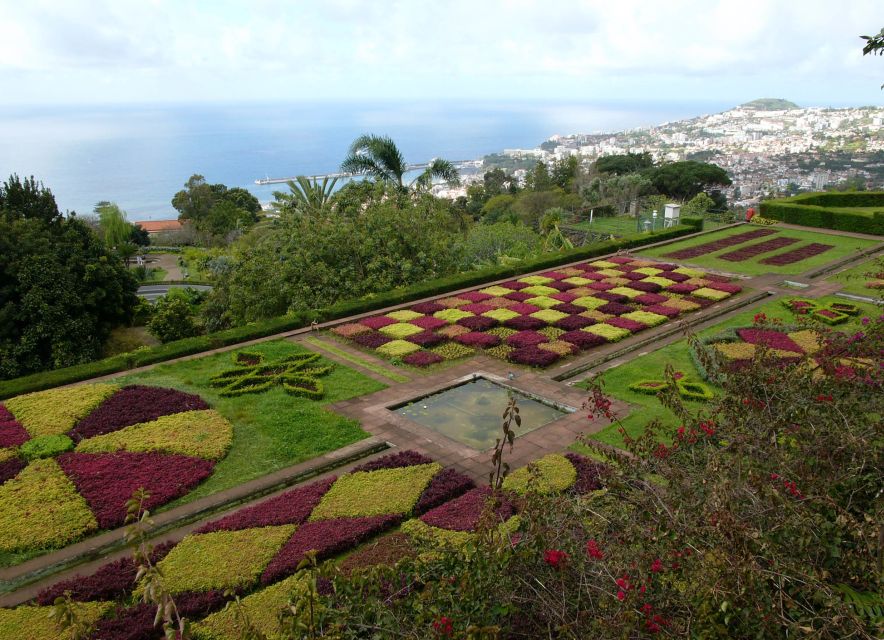 Madeira: Botanical Garden in a Tuk-Tuk Tour - The Ride From Funchal, and Why the Hilltop Start Is Smart