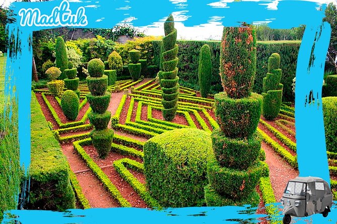 Madeira Botanical Gardens and Old Town Tuk Tuk Tour by MadTuk - Getting oriented in Funchal, starting at the farmers market