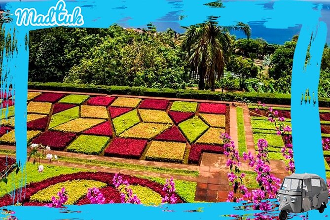 Madeira Botanical Gardens and Old Town Tuk Tuk Tour by MadTuk - Old Town without the stress: orientation and photo moments