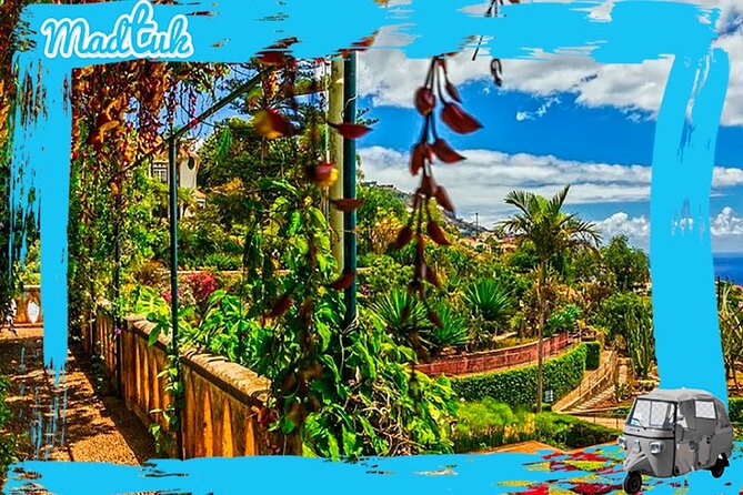 Madeira Botanical Gardens and Old Town Tuk Tuk Tour by MadTuk - What the guide experience feels like with drivers like Bruno