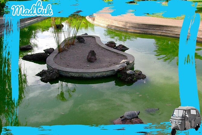 Madeira Botanical Gardens and Old Town Tuk Tuk Tour by MadTuk - Logistics that matter more than you think
