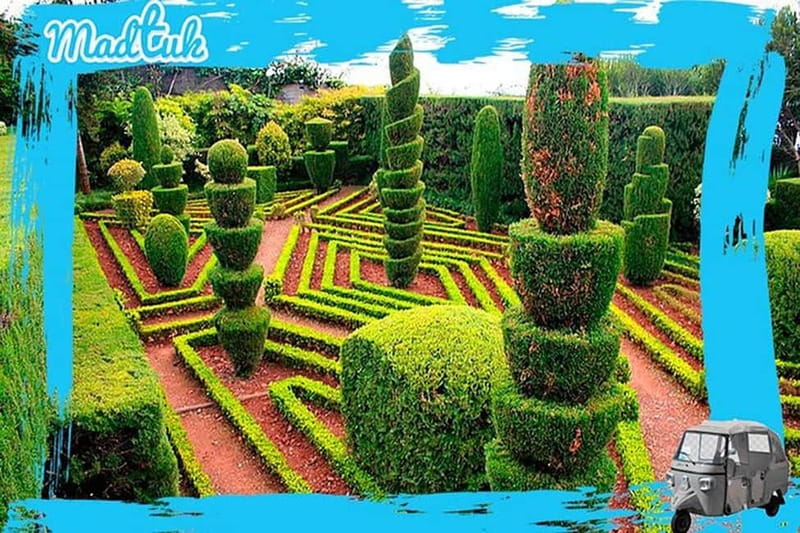 Madeira: Botanical Gardens + Old Town Tuk-Tuk Tour by MadTuk - Tuk-Tuk Comfort in Funchal, Built for an Easy Morning Plan