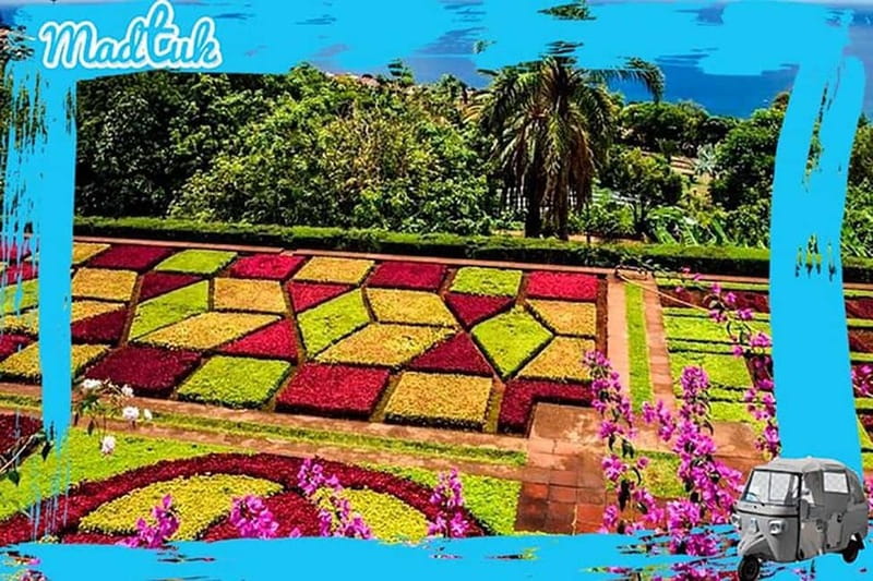 Madeira: Botanical Gardens + Old Town Tuk-Tuk Tour by MadTuk - Price and Logistics: Tickets Are Separate, and the Driver Doesn’t Enter