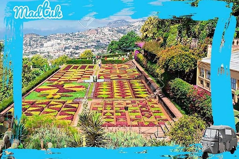 Madeira: Botanical Gardens + Old Town Tuk-Tuk Tour by MadTuk - Before You Go: What to Bring, Restrictions, and Who This Fits Best