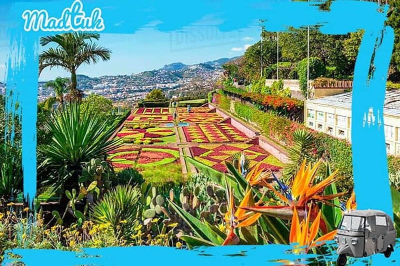 Madeira: Botanical Gardens + Old Town Tuk-Tuk Tour by MadTuk - Funchal Pickup, Marina Views, Then a Simple Scenic Ride