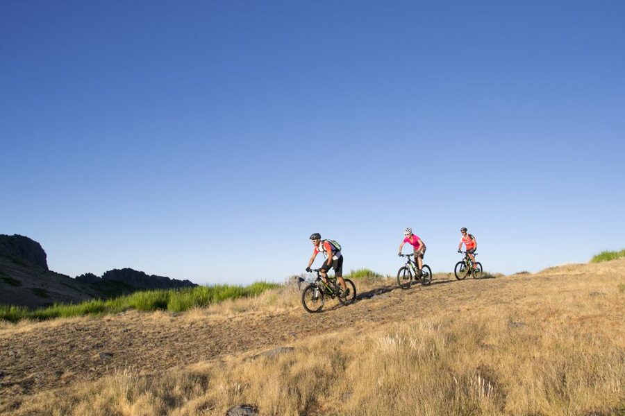 Madeira Botanical Levels Bike Tour – Scenic Trail Experience - Why Madeira’s Botanical Levels bike format is smart
