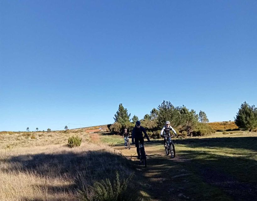Madeira Botanical Levels Bike Tour – Scenic Trail Experience - The bikes and safety setup: full-suspension confidence, plus gear