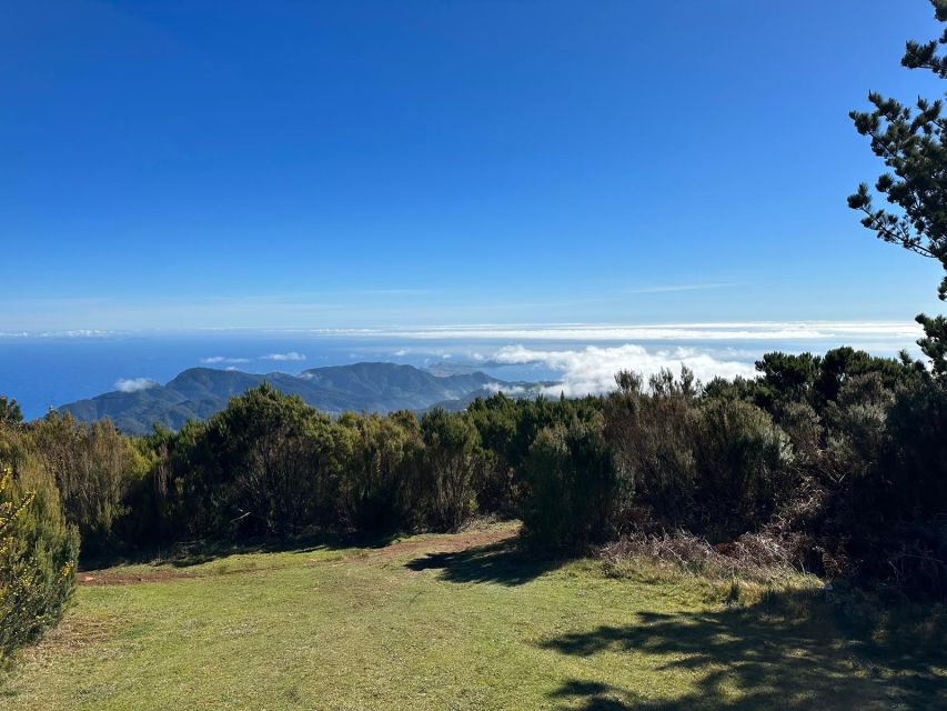 Madeira Botanical Levels Bike Tour – Scenic Trail Experience - The price and what you get for about $94
