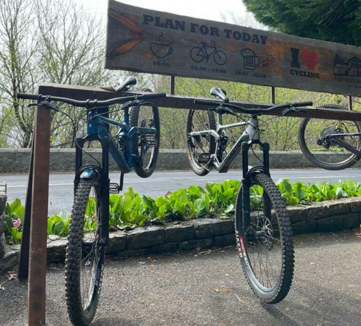 Madeira Botanical Levels Bike Tour – Scenic Trail Experience - Who this tour fits best, and who should be cautious