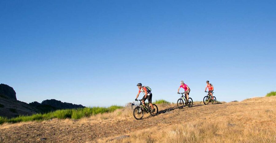 Madeira Botanical Levels Bike Tour – Scenic Trail Experience - From Poiso (1,400 m) into the Levada world around 850 m