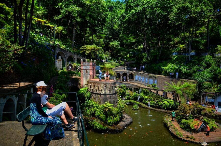 Madeira: Botanical, Monte Palace, and Palheiro Gardens - Madeira Botanical Garden, 2,500 Exotic Plants and Big Ocean Views