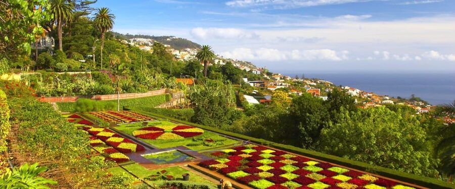 Madeira: Botanical, Monte Palace, and Palheiro Gardens - FAQ