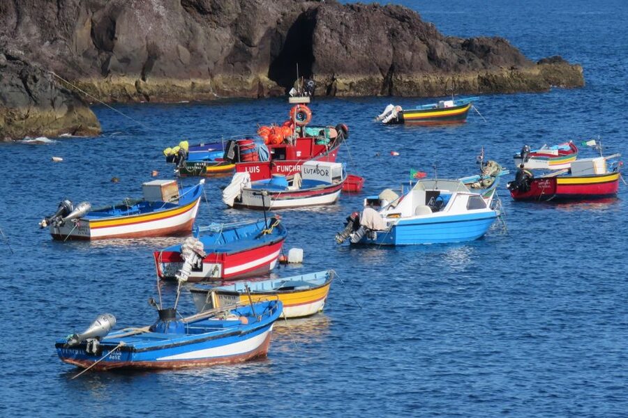 Madeira : Cabo Girao and Camara de Lobo 4WD half-day Tour - Câmara de Lobos: Where Churchill Found Inspiration