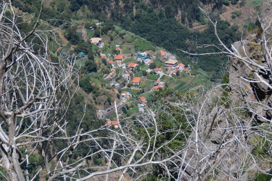 Madeira : Cabo Girao and Camara de Lobo 4WD half-day Tour - Price and Logistics from Funchal: Is It Good Value?