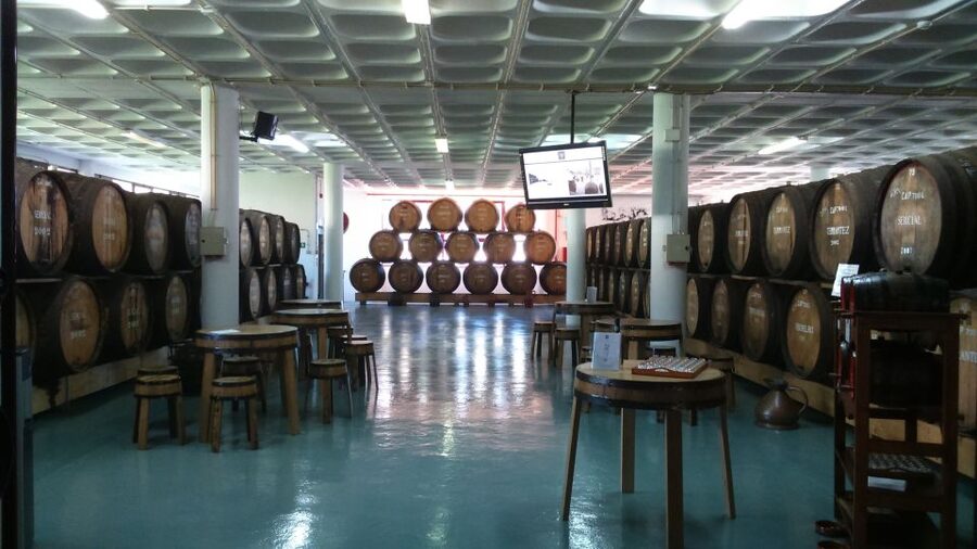 Madeira: Cabo Girao, Jeep Tour Adventure and Wine Tasting - Quinta do Barbusano or Henriques & Henriques: How to Handle the Wine Stop
