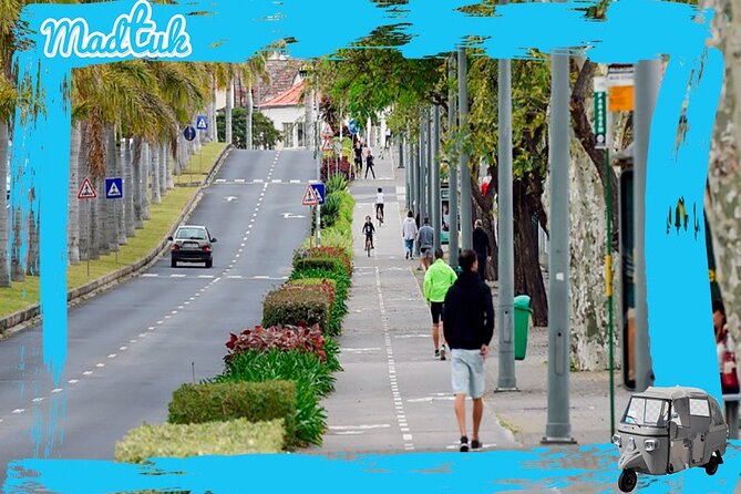 Madeira Cabo Girão Skywalk and Câmara de Lobos Tuk Tour By MadTuk - A short tour that hits the big Madeira view points